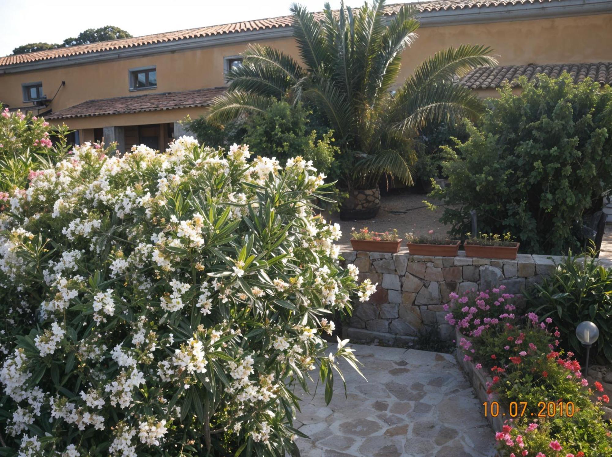 Agriturismo Lu Colbu Trinità dʼAgultu Exterior foto